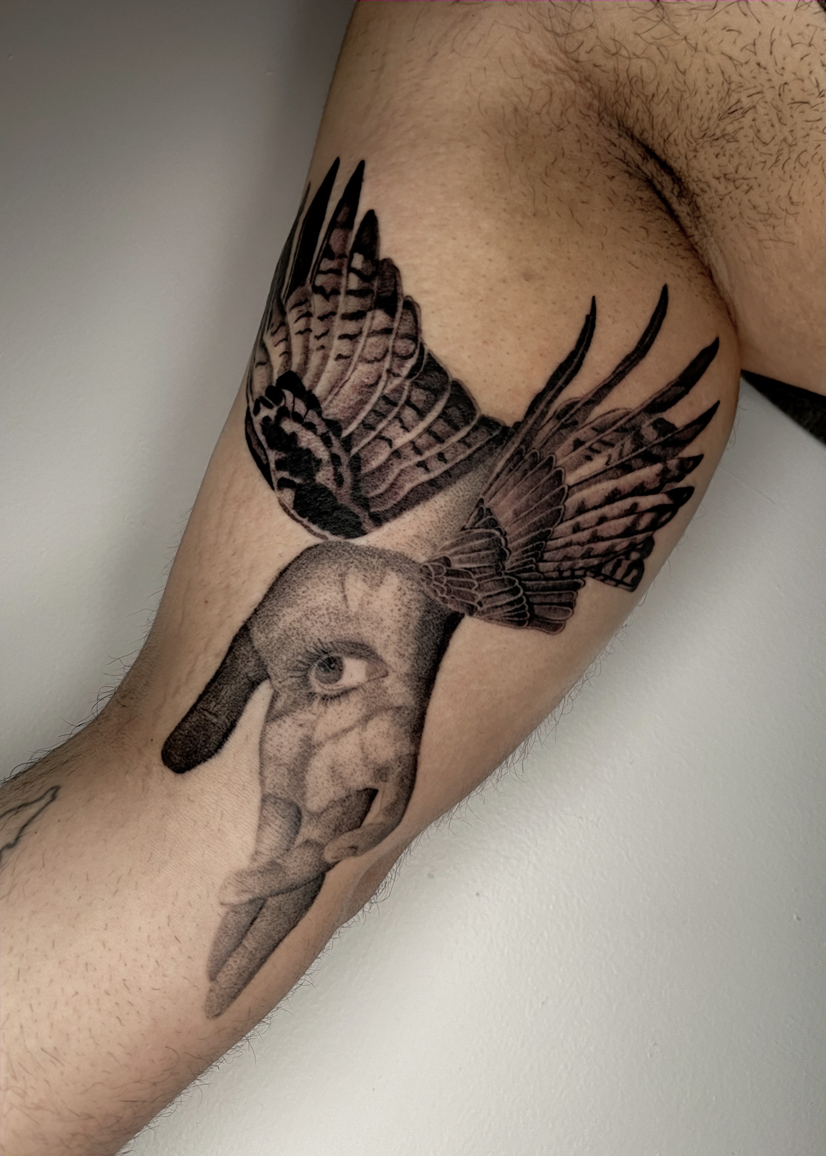 Micro-realism bird tattoo by Norb — Gold Scarab Tattoo Seattle